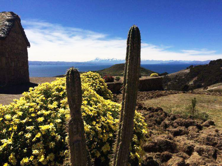 Tierra_Latina_Lac_Titicaca_Perou_Bolivie_Charline-Voyage