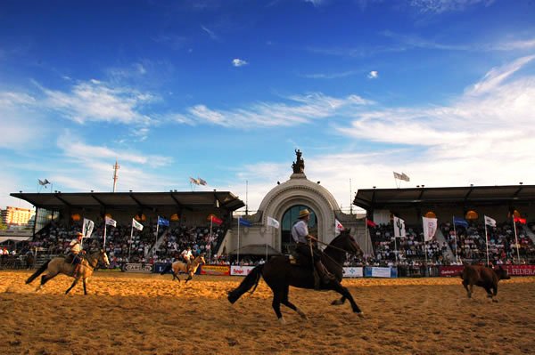 Buenos aires Nuestros caballos parc d’exposition La Rural chevaux