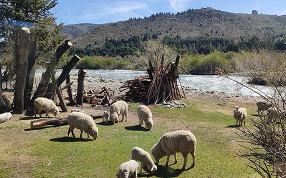 sejour-patagonie-communaute-mapuche-argentine-alex-limplaire-11