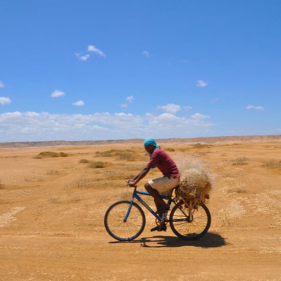 voyage-colombie-desert-guajira-frankjaer-pixabay