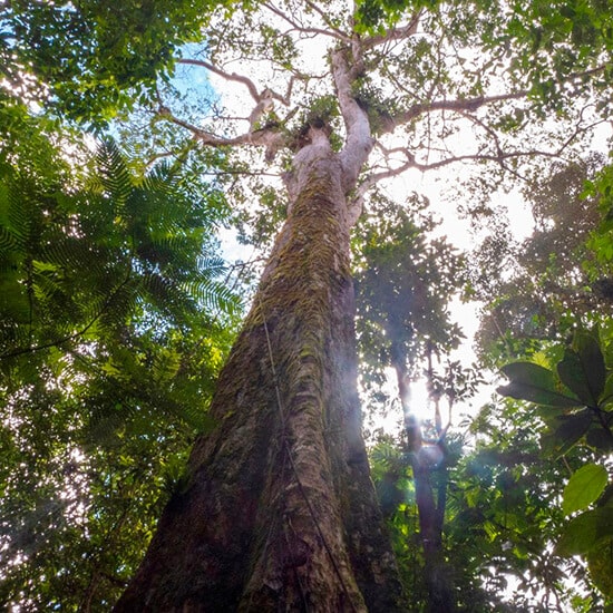 voyage-costa-rica-boca-tapada-edda-dupree-getty-images