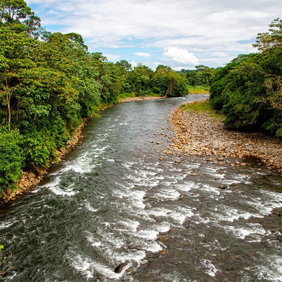 voyage-costa-rica-rio-sarapiqui-henk-bogaard-getty-images