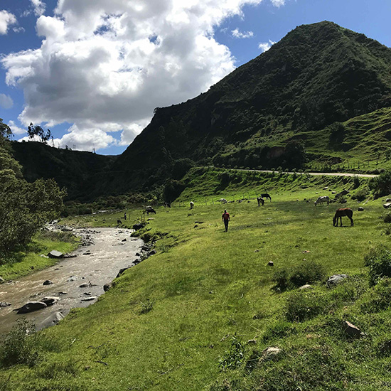 voyage-equateur-trek-sigchos-omri-d-cohen-unsplash