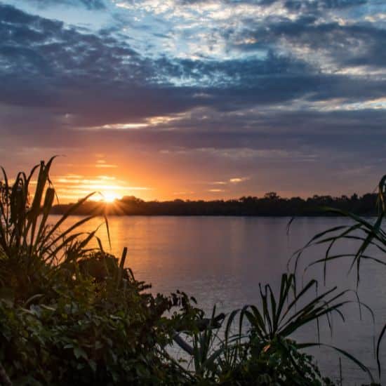 voyage-perou-amazonie-puerto-maldonado-nils-knopf-getty-images