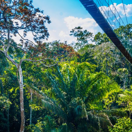 voyage-perou-amazonie-puerto-maldonado-pere-rubi-getty-images