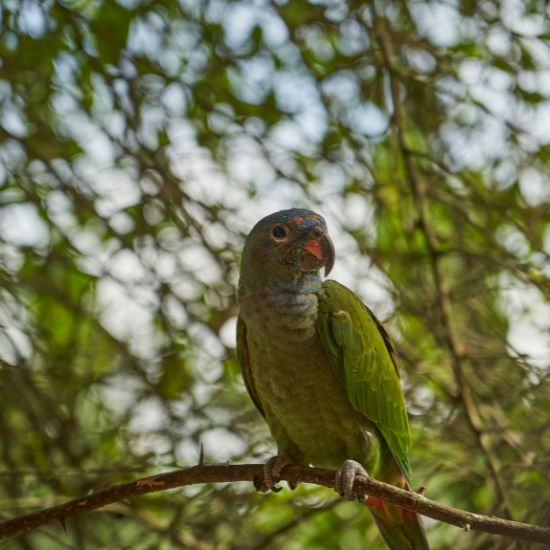 voyage-equateur-amazonie-cuyabeno-jens-otte-getty-images