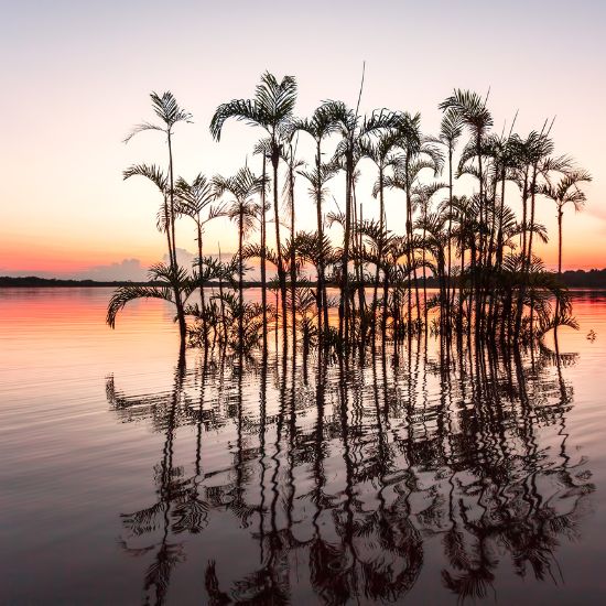 voyage-equateur-amazonie-cuyabeno-kalypso-world-photography-getty-images