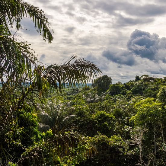 voyage-equateur-amazonie-cuyabeno-marcelina1982-getty-images